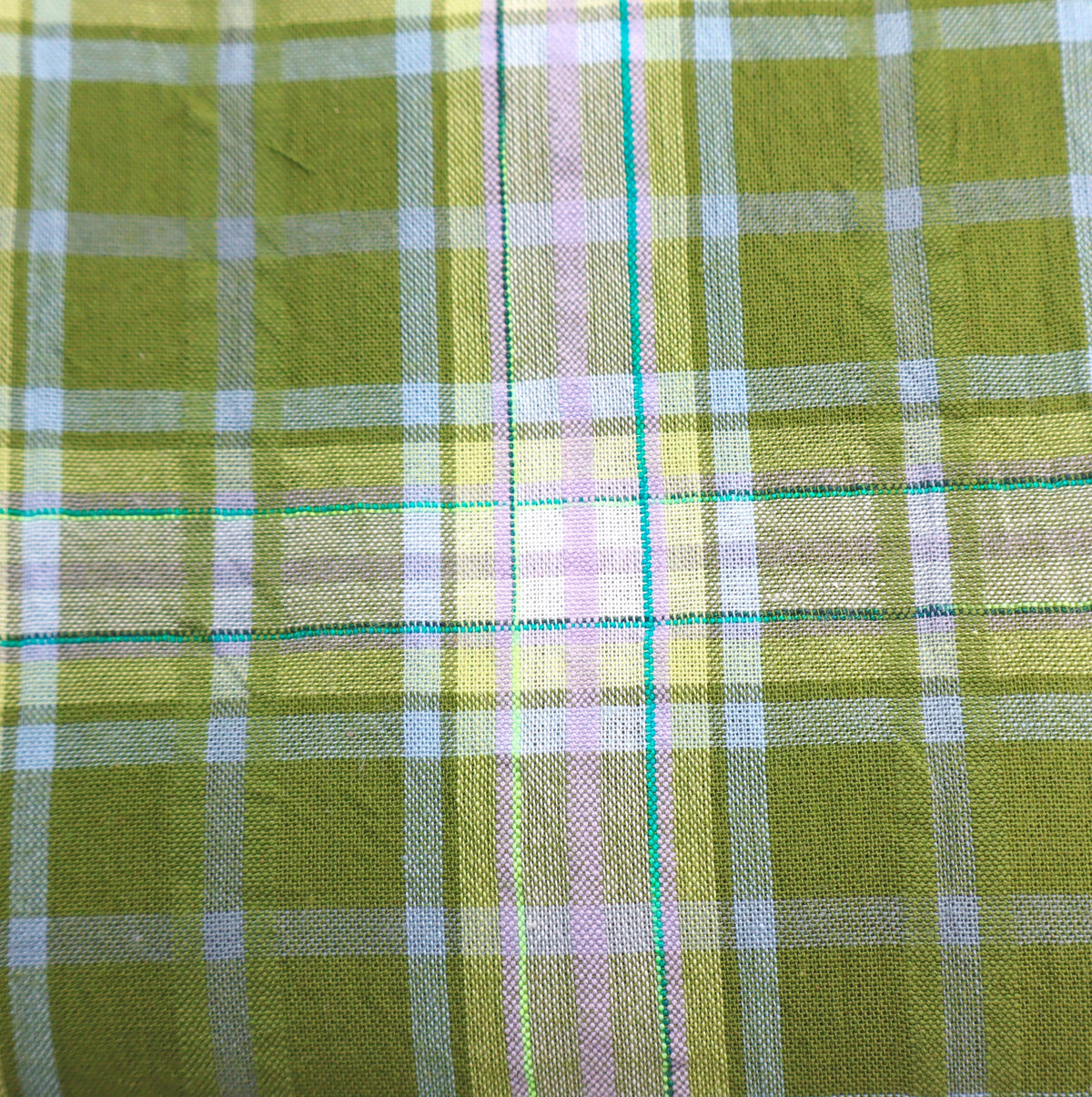 oliv lime Karo Seersucker