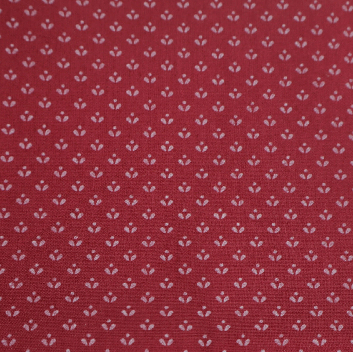 tibet red dirndl buds