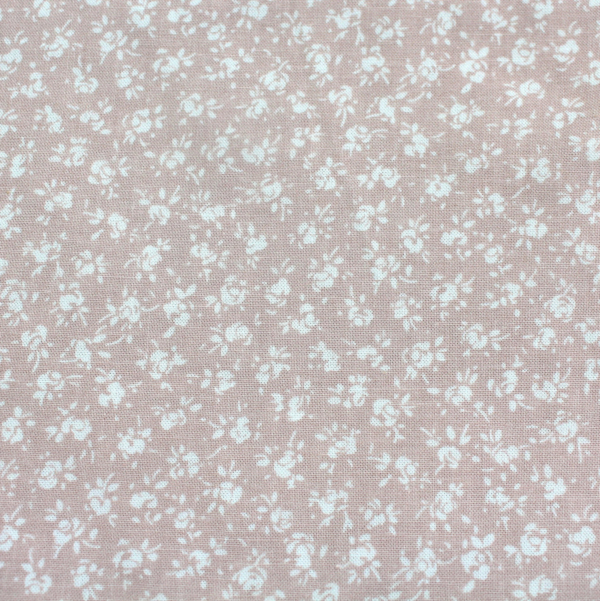 cameo pink flowers