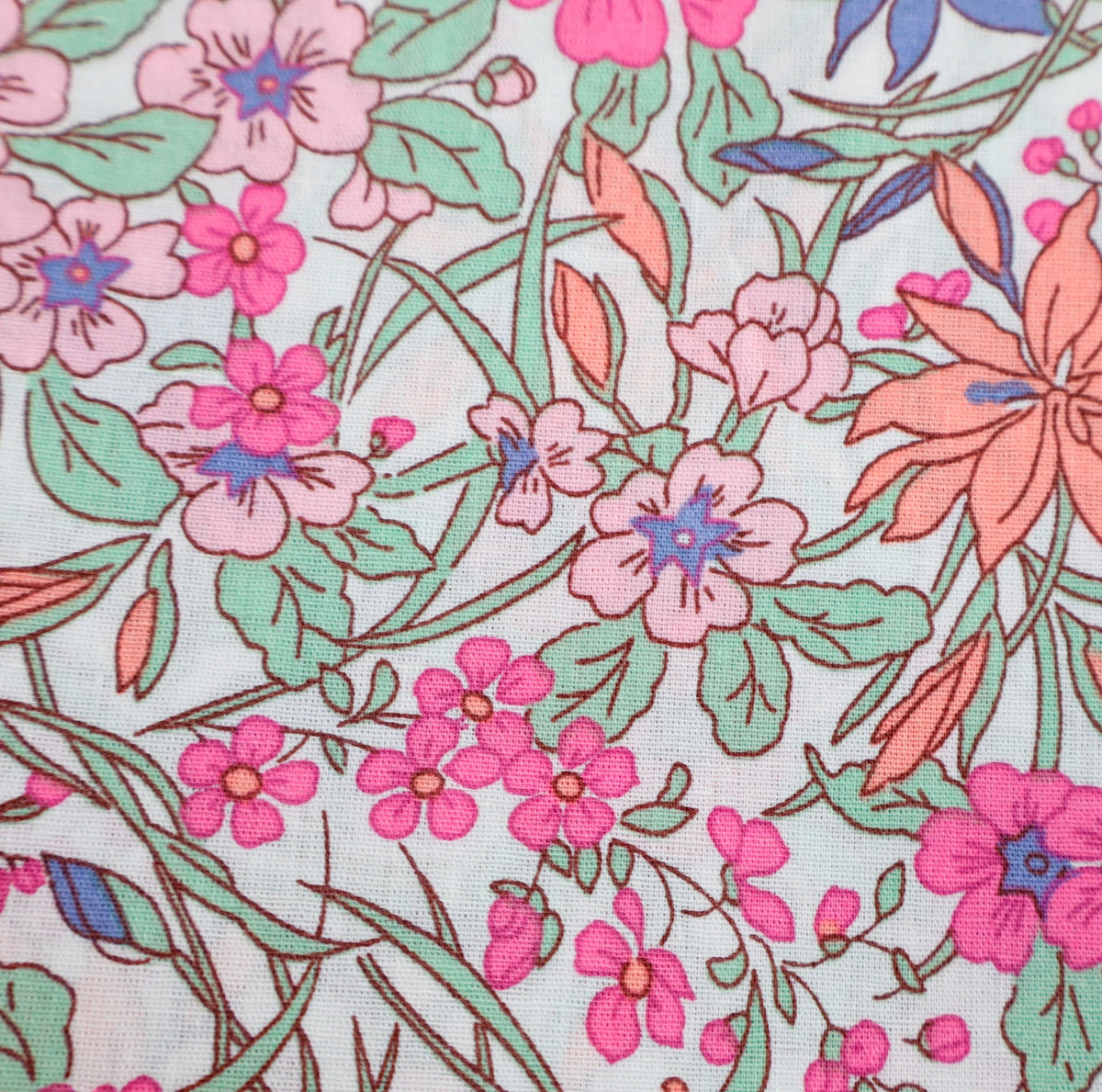 pink mint Sommerblüten