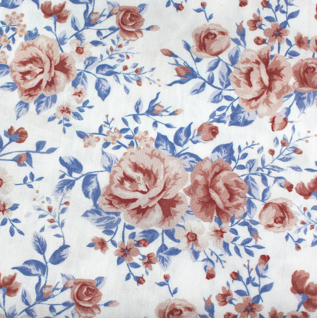 rosa blaue englische Rosen