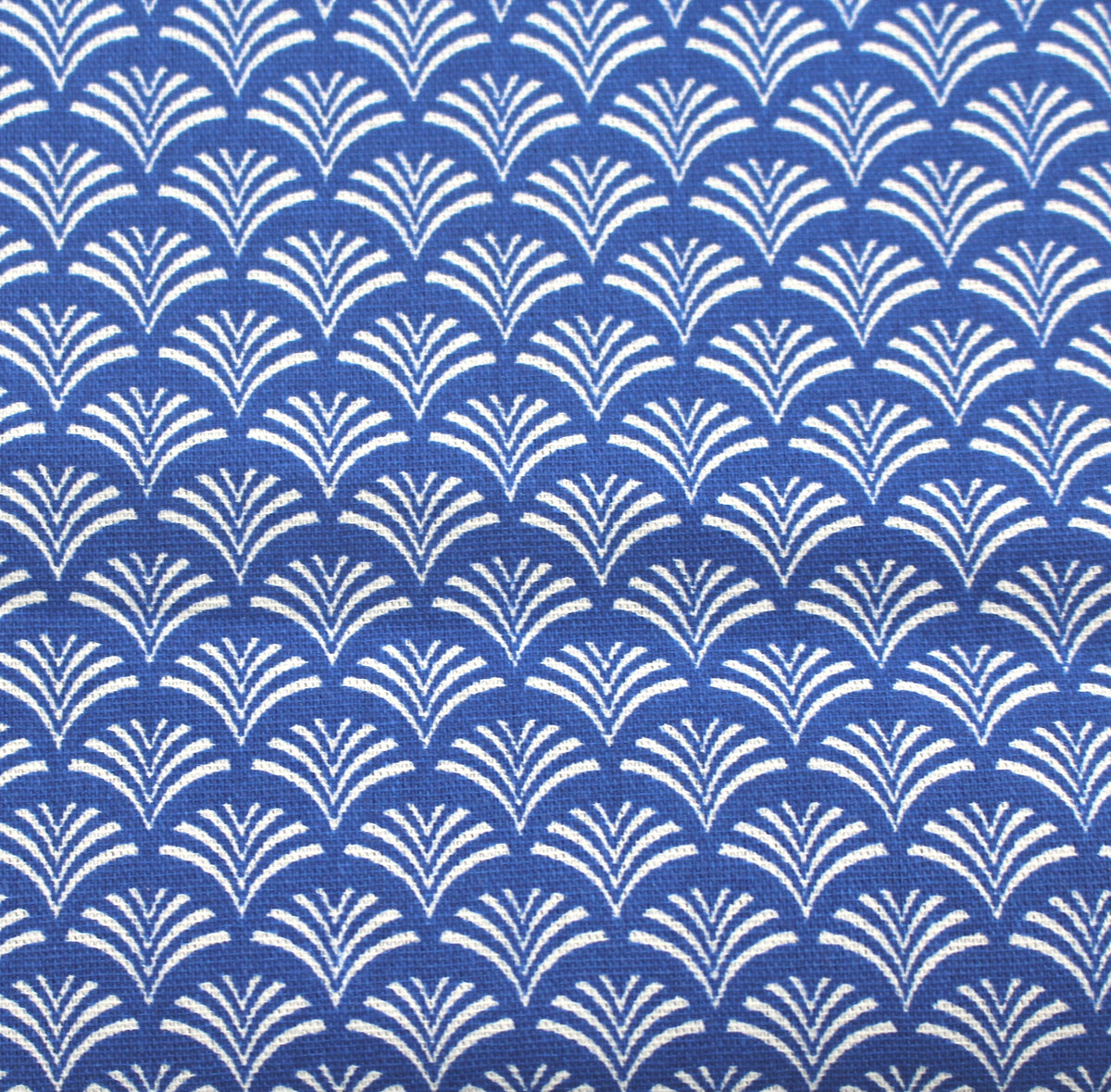 königsblaue Muscheln