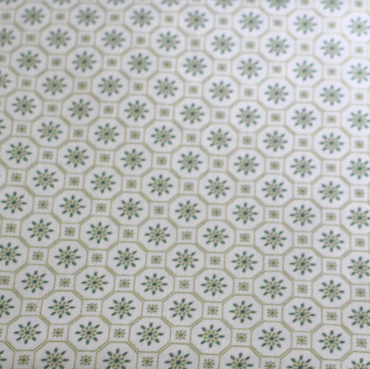 grün beige Sonnenrauten