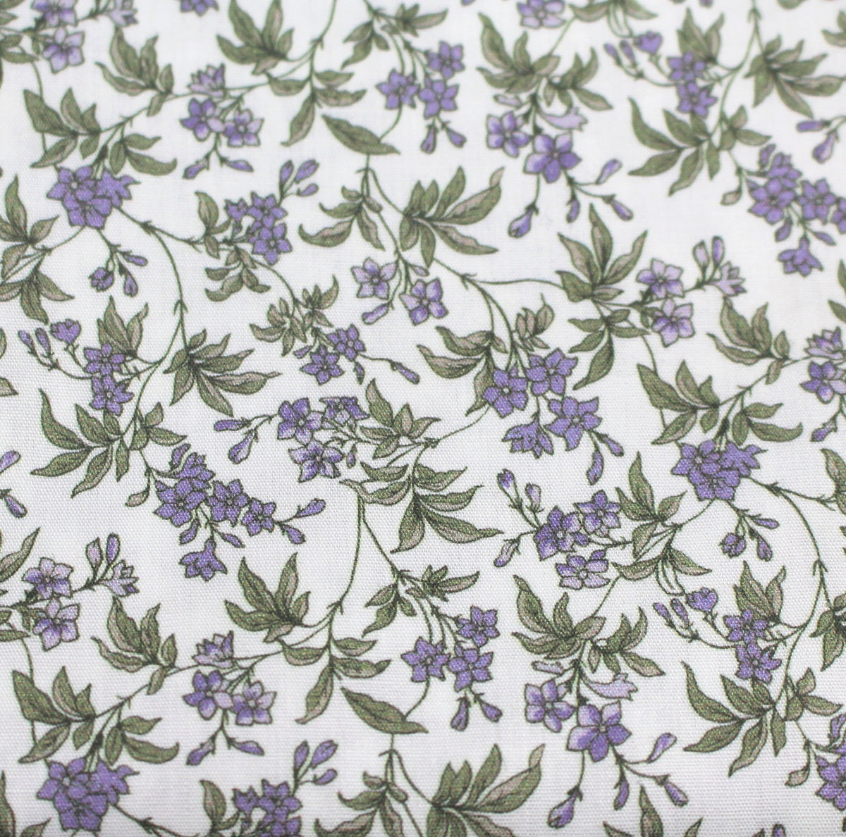 violett Clematis