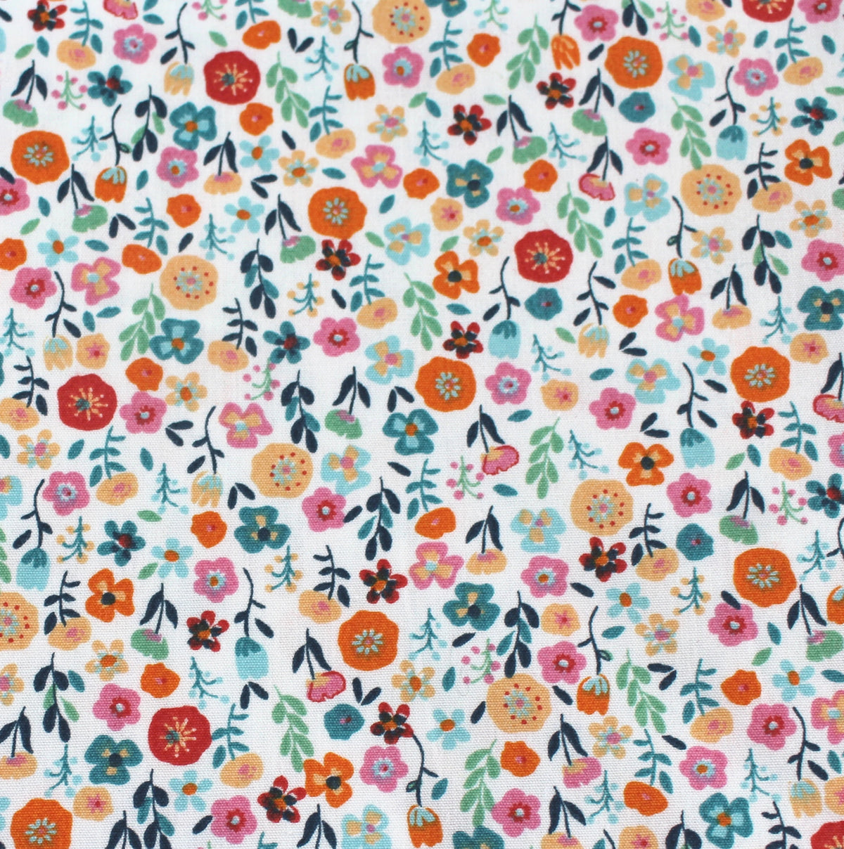 orange pink Frühlingswiese