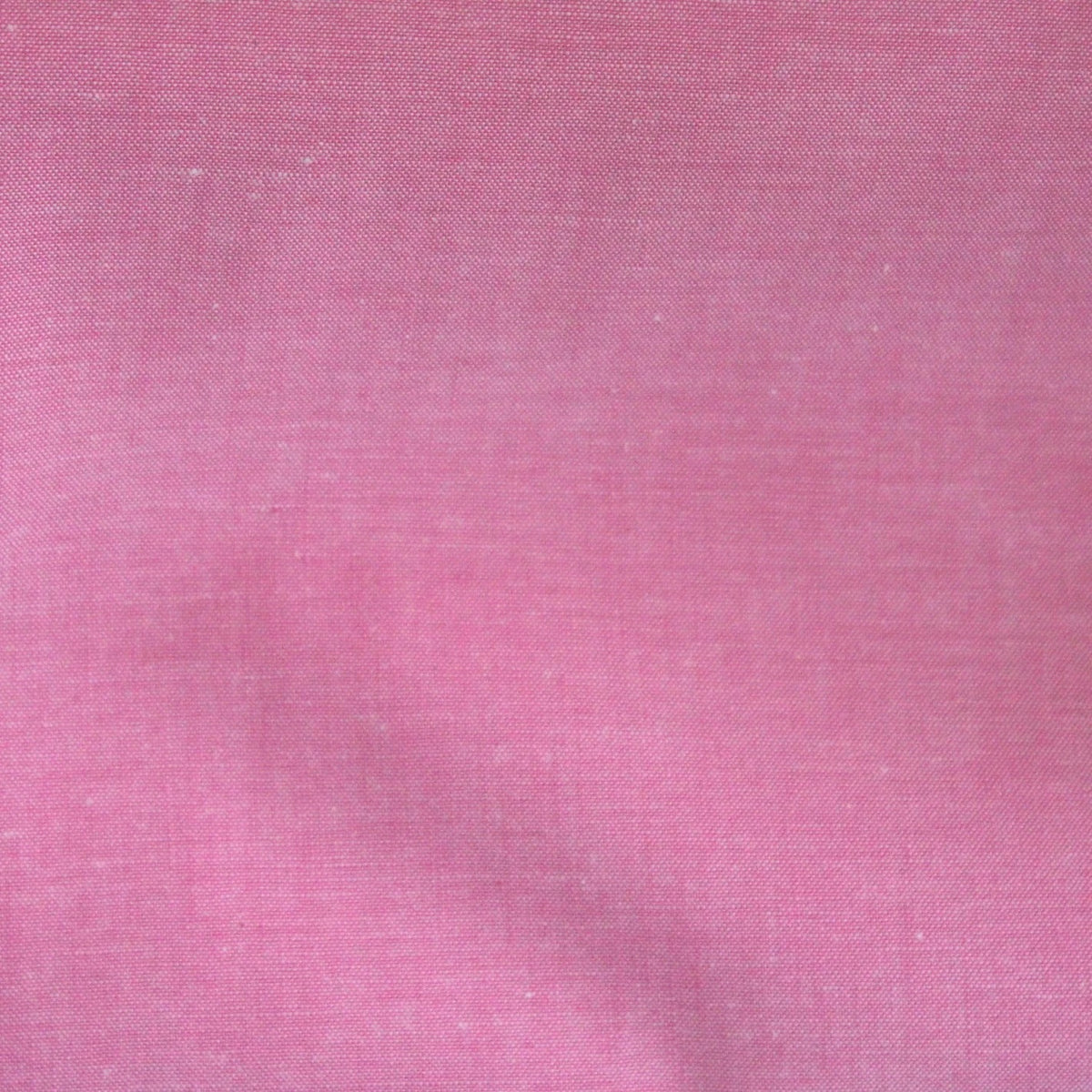 fuchsia uni