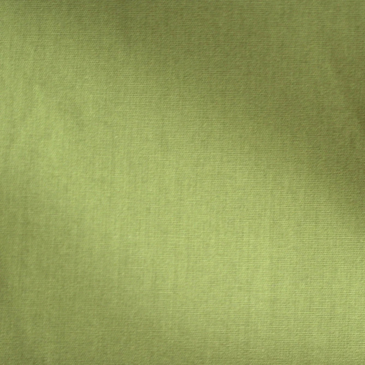 kiwi uni