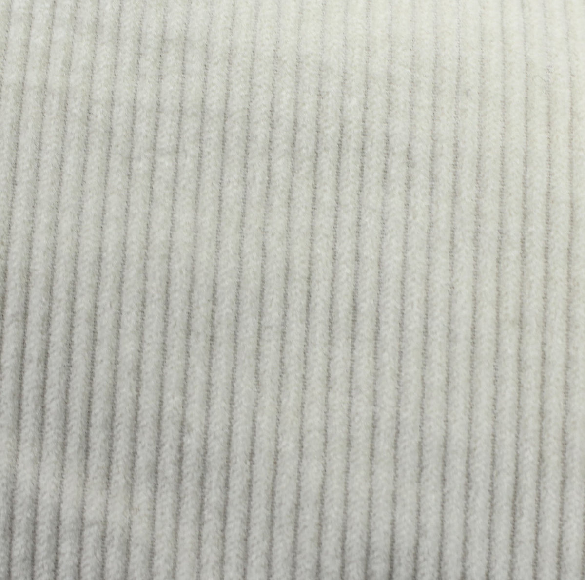 Noble corduroy medium width ecru