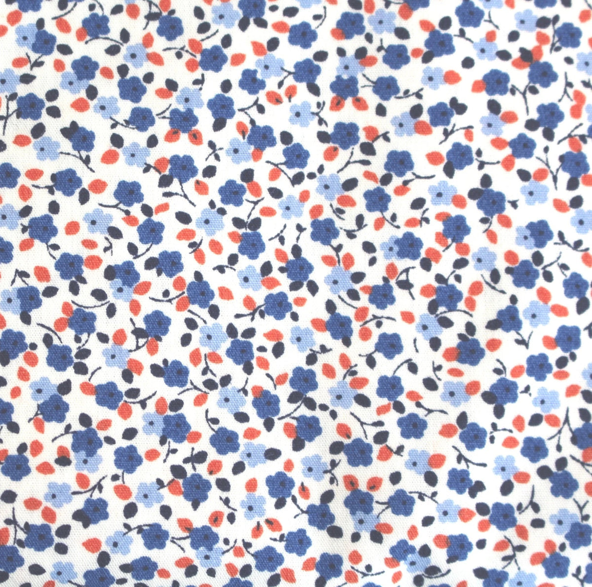 blau kürbis Bella
