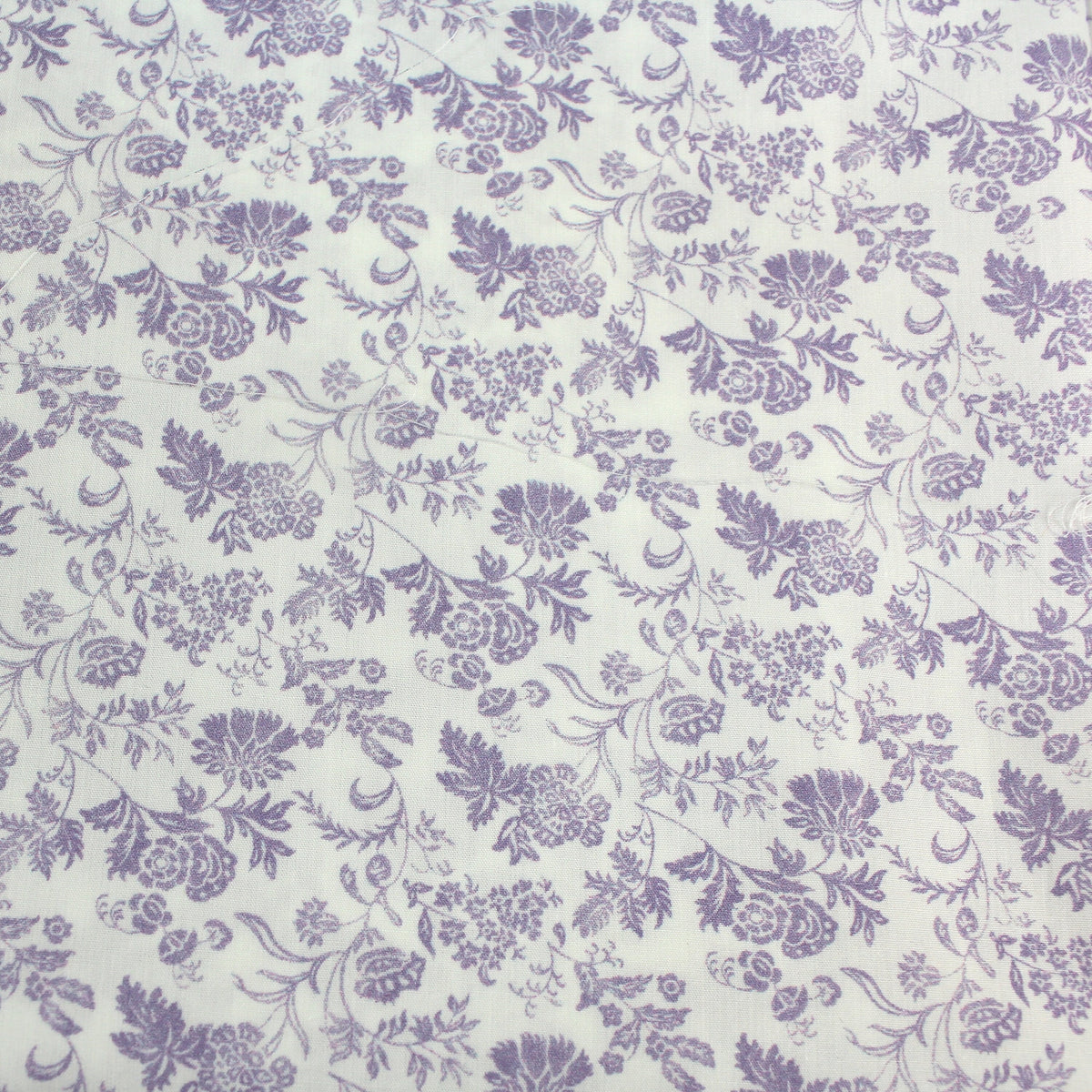 orchid meadow flower
