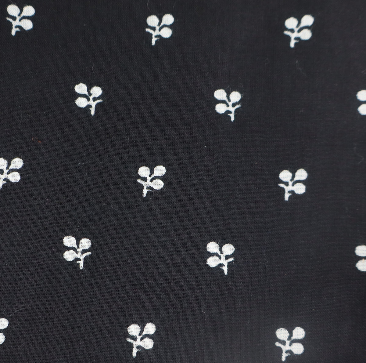 Kasia Bloom Comerciante & Molinos