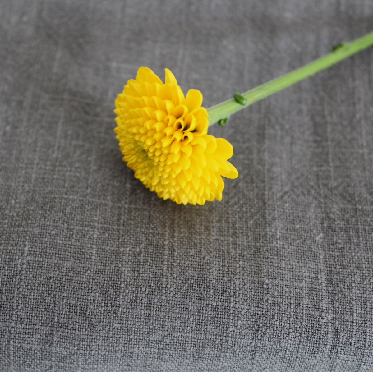 anthrazit Leinen stonewashed