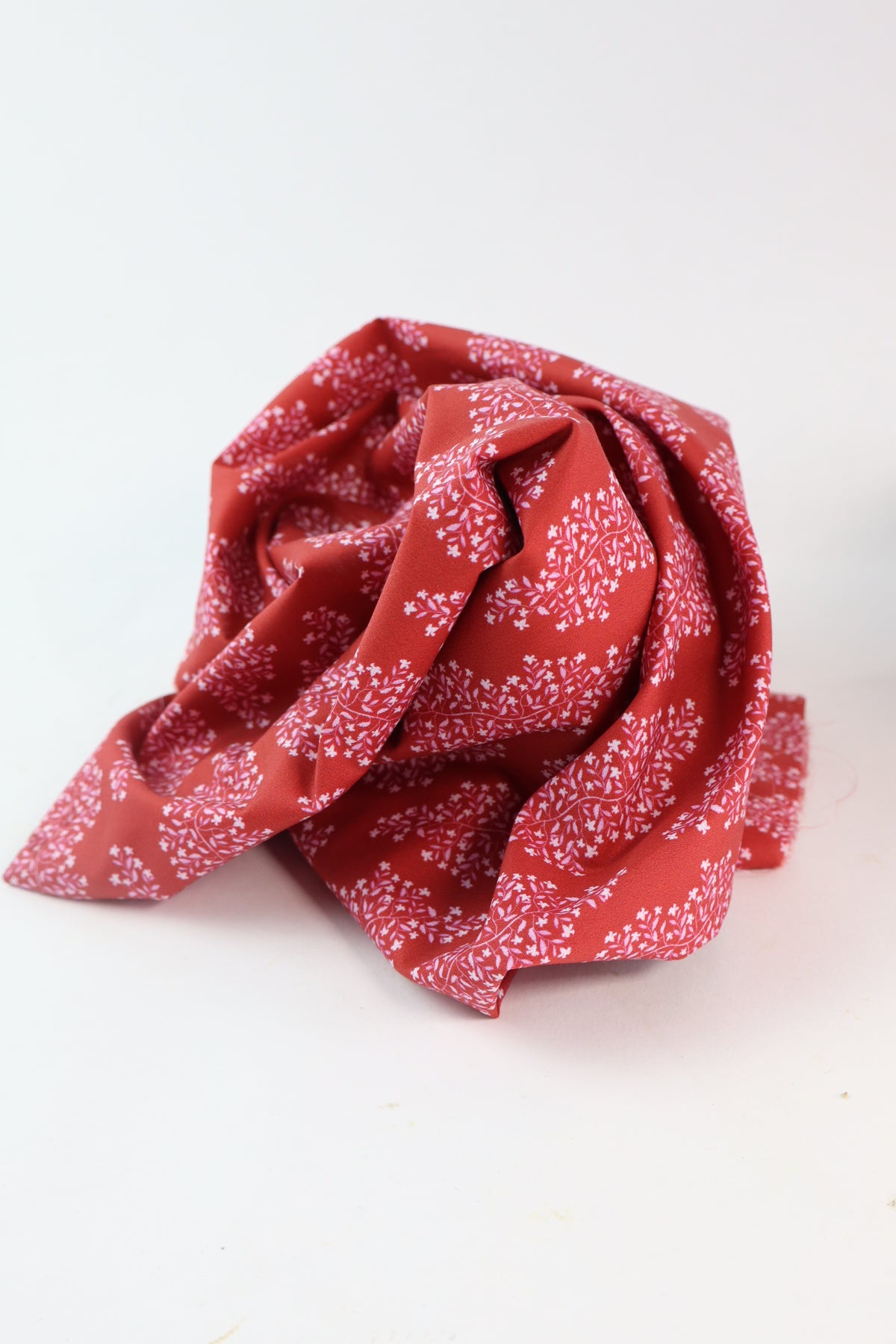 dunkeloliv NOELLE- Daphne Patellis