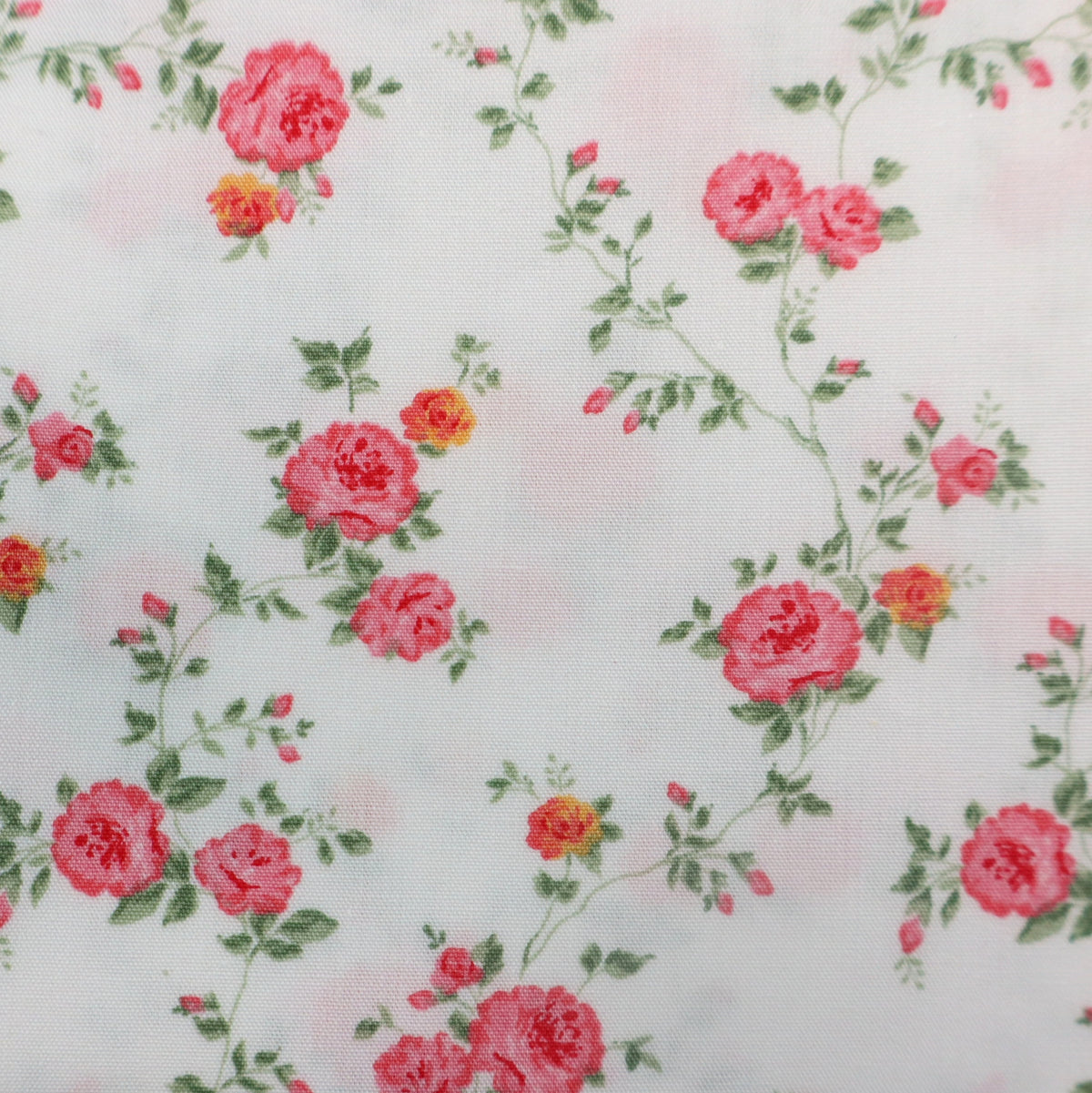 Sissi vert clair rouge