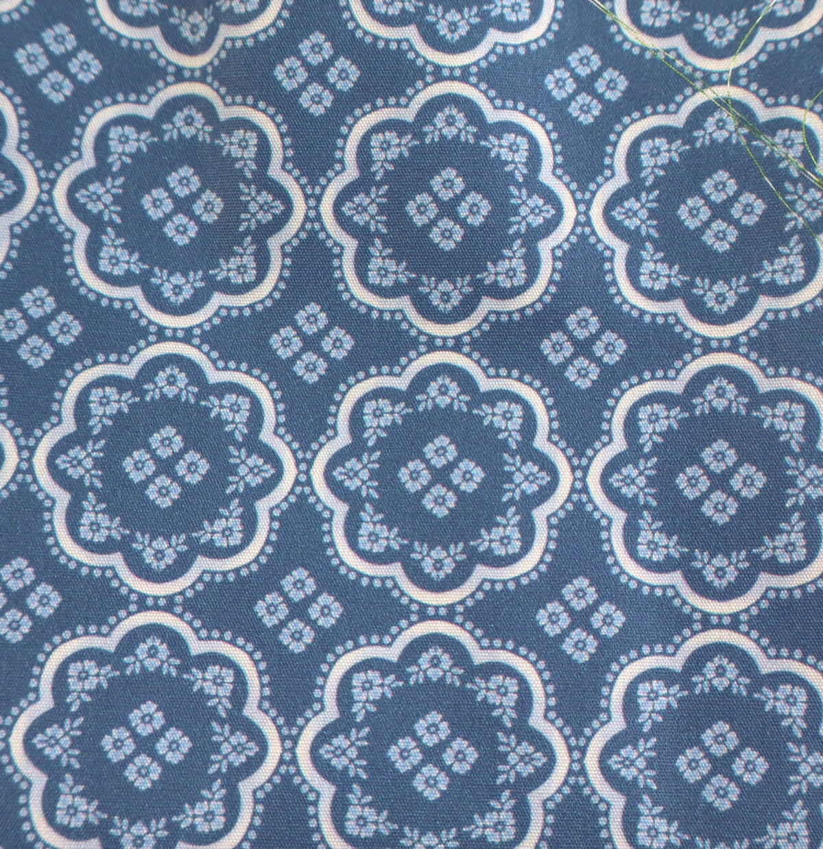 Gloria blau