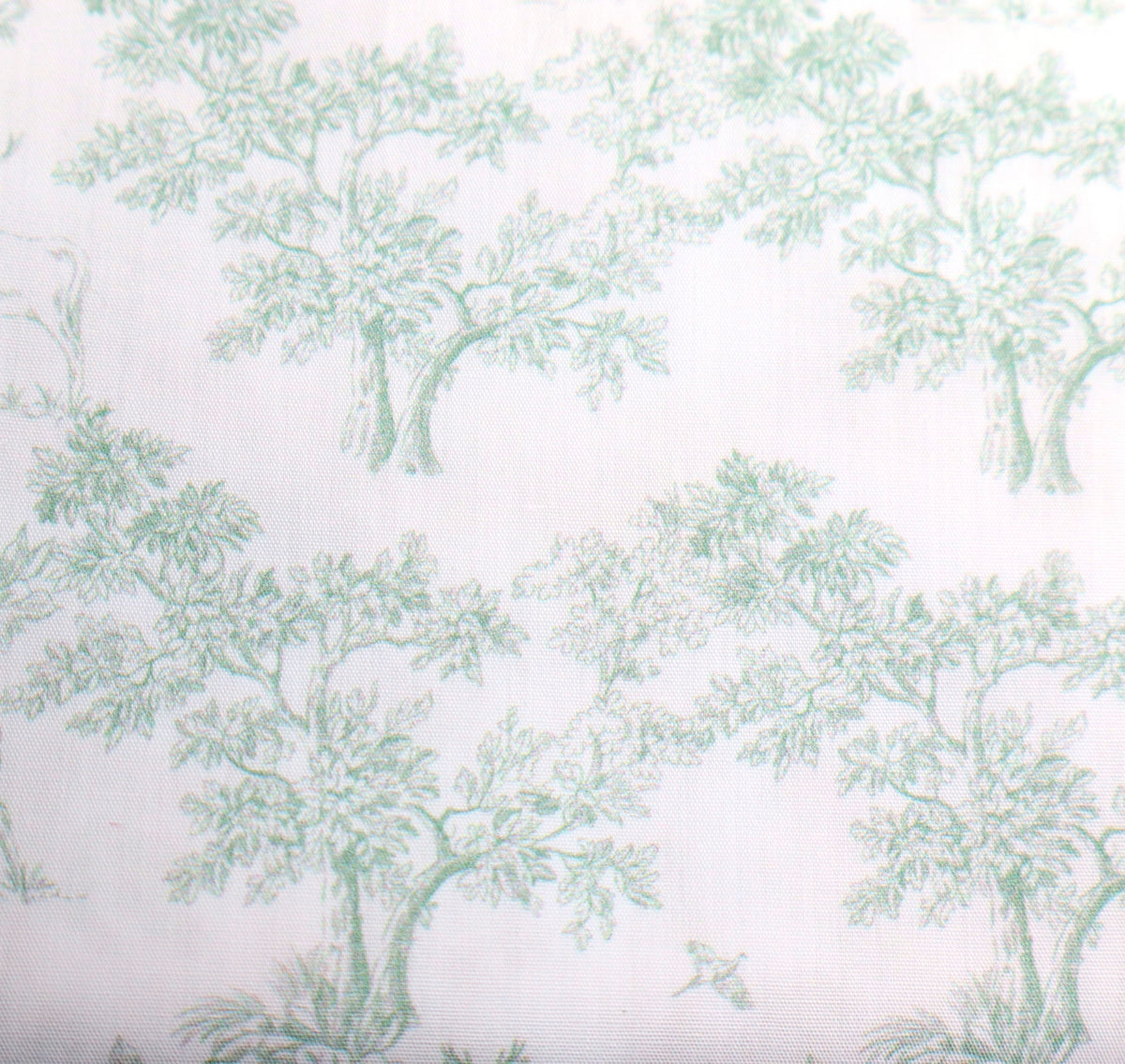 salbei Toile de Jouy