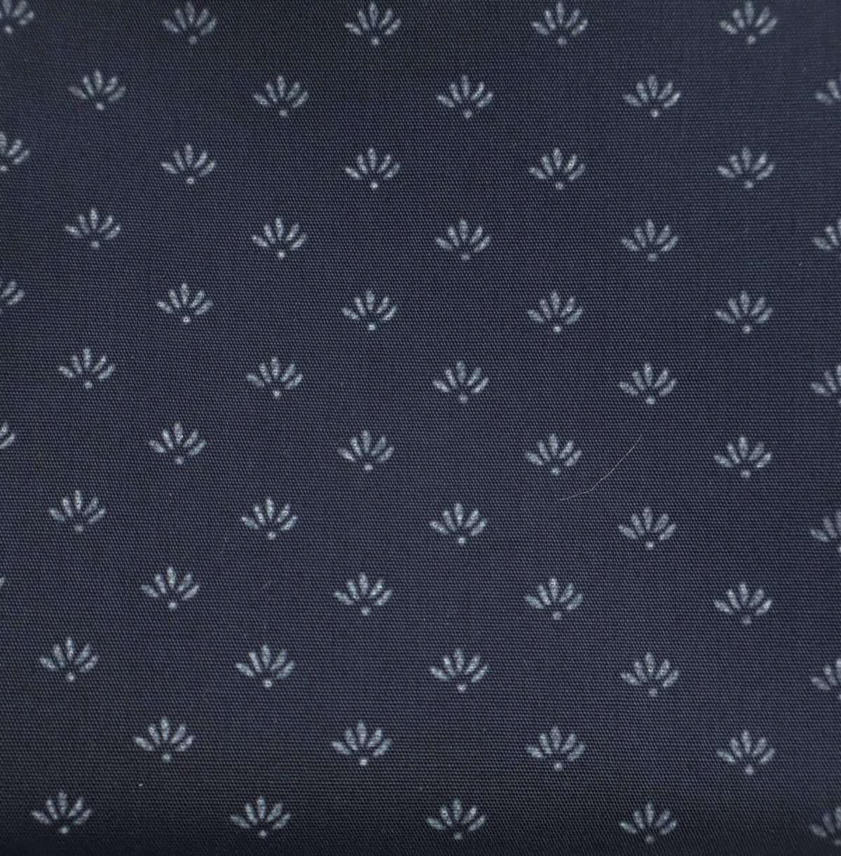dark gray dirndl buds