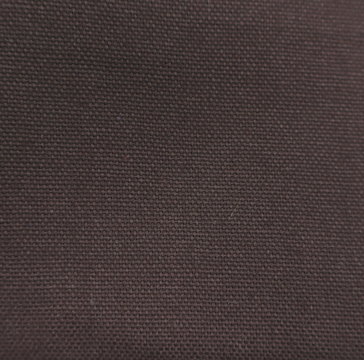 schoko Canvas