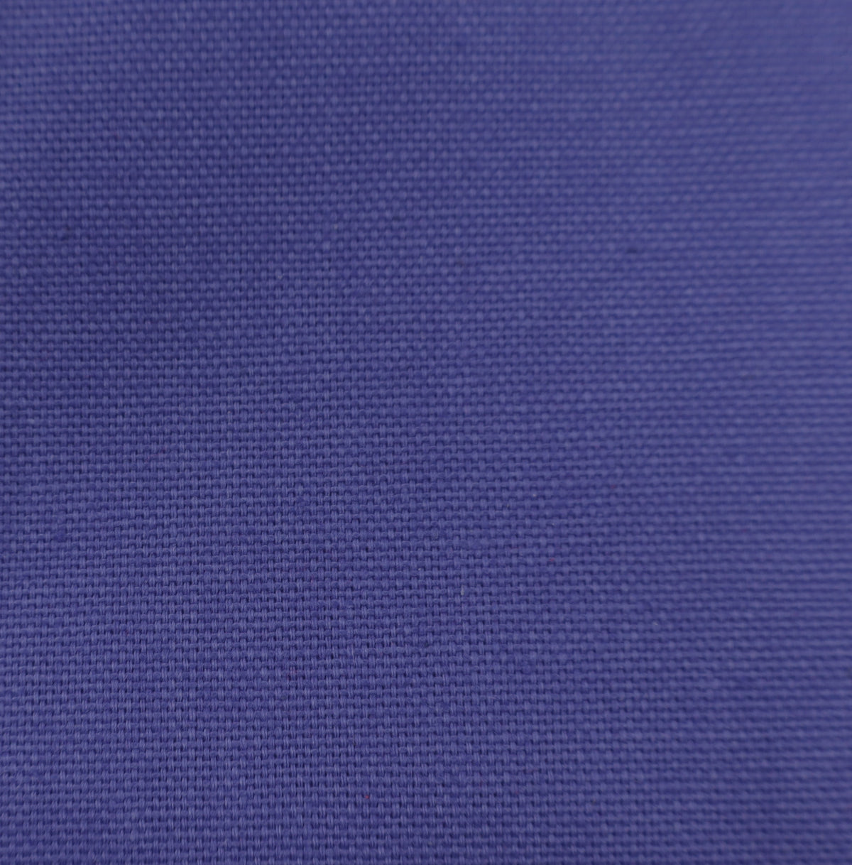 iris Canvas