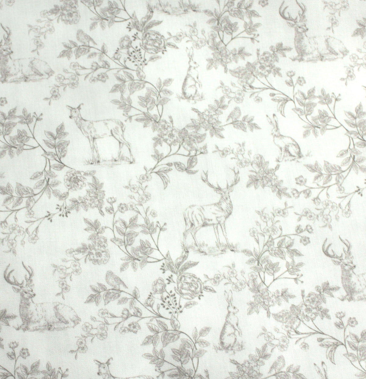 sahara Toile de Jouy