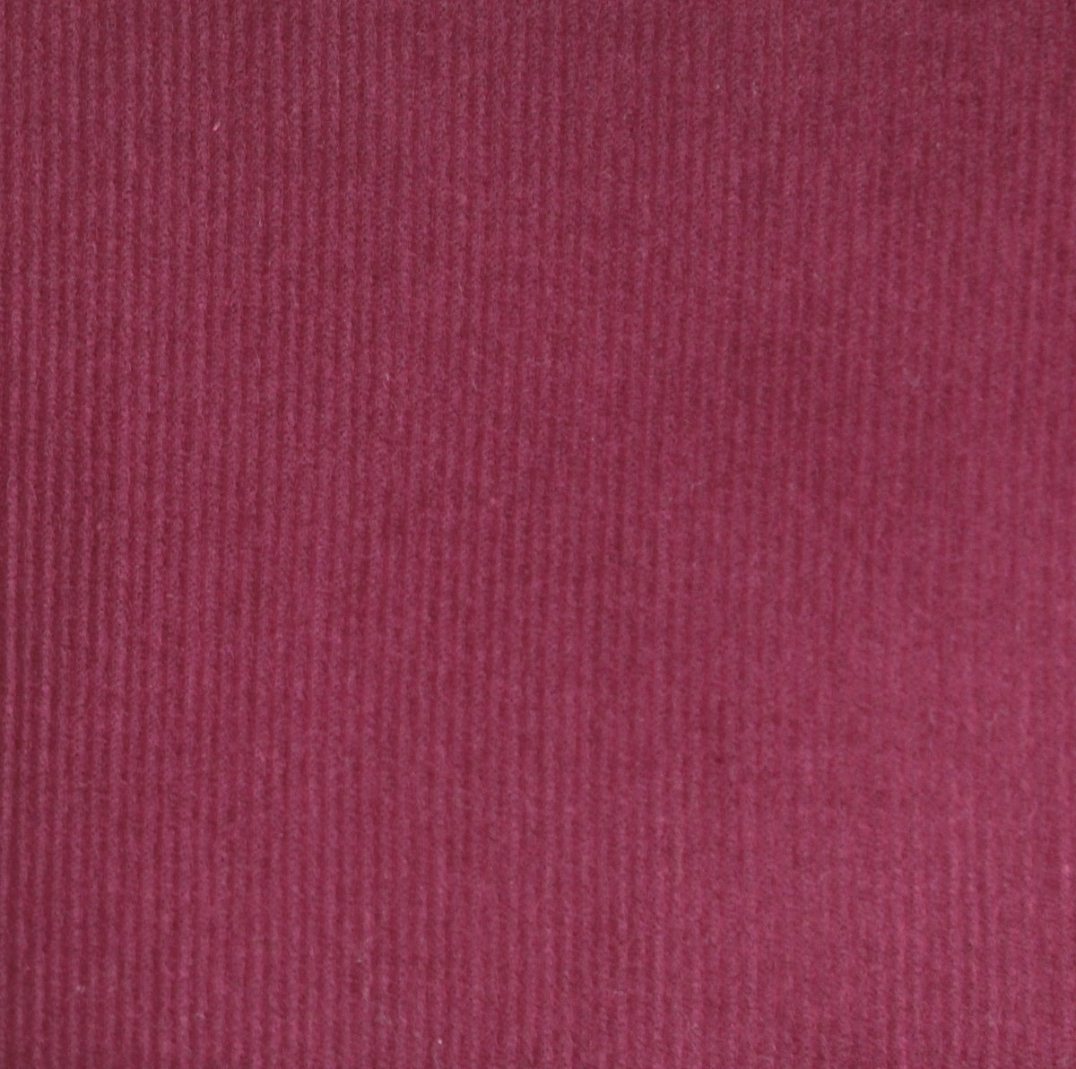 Fine corduroy wine red