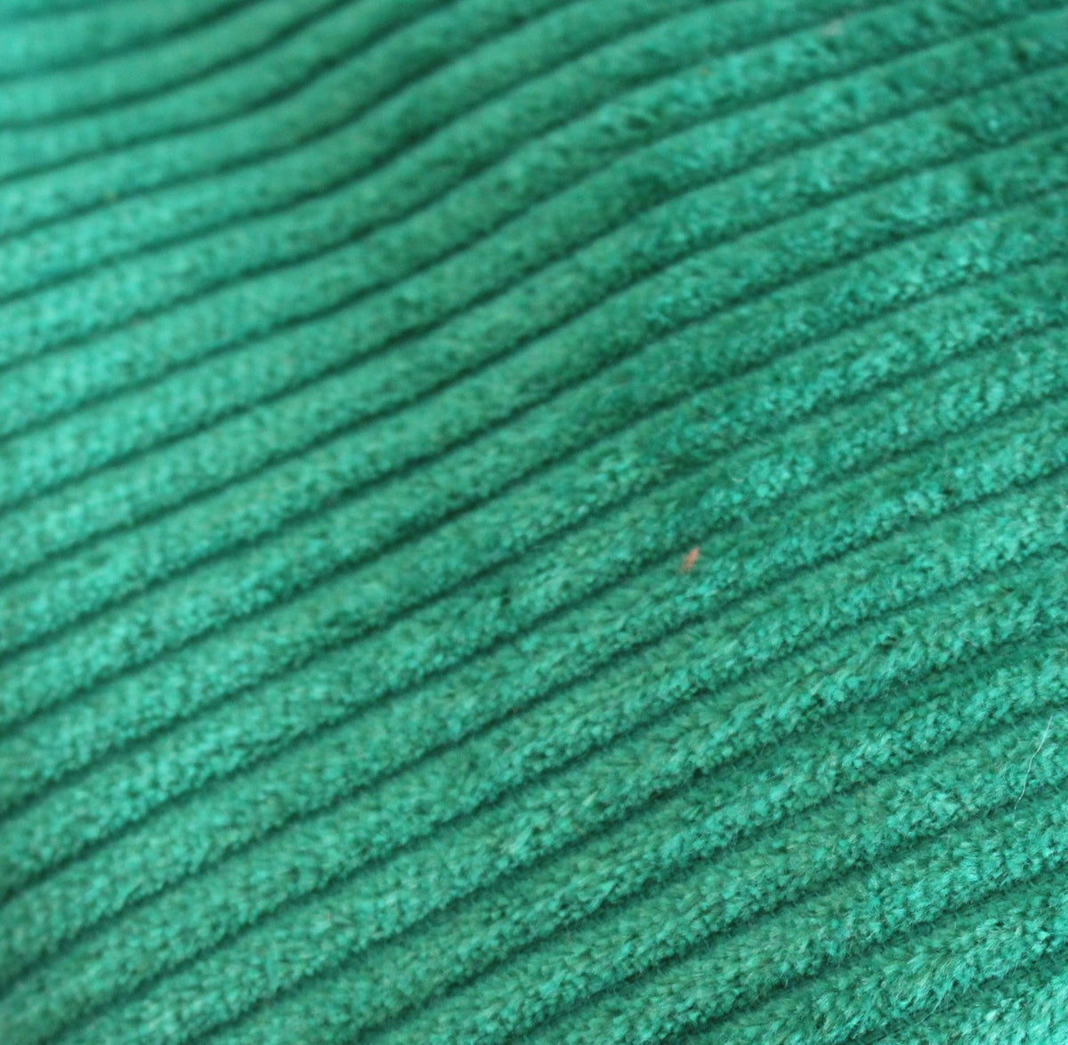 Wide cord emerald