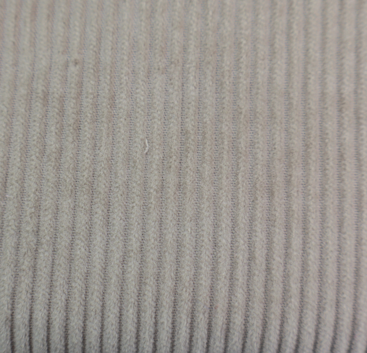 Noble cord medium width safari-beige