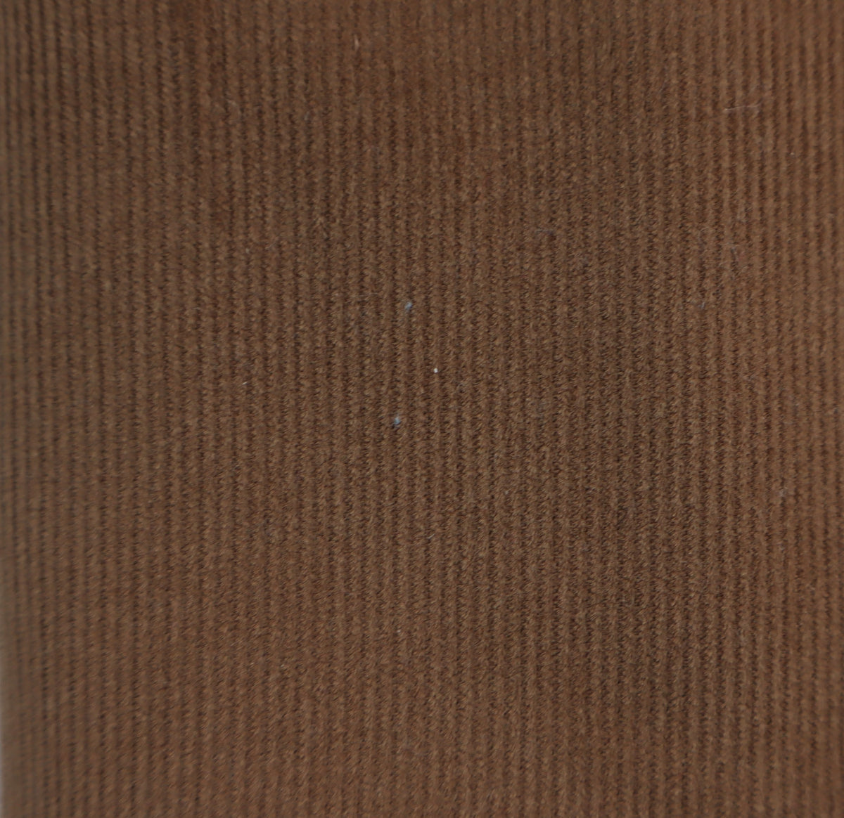 Fine cord bark brown