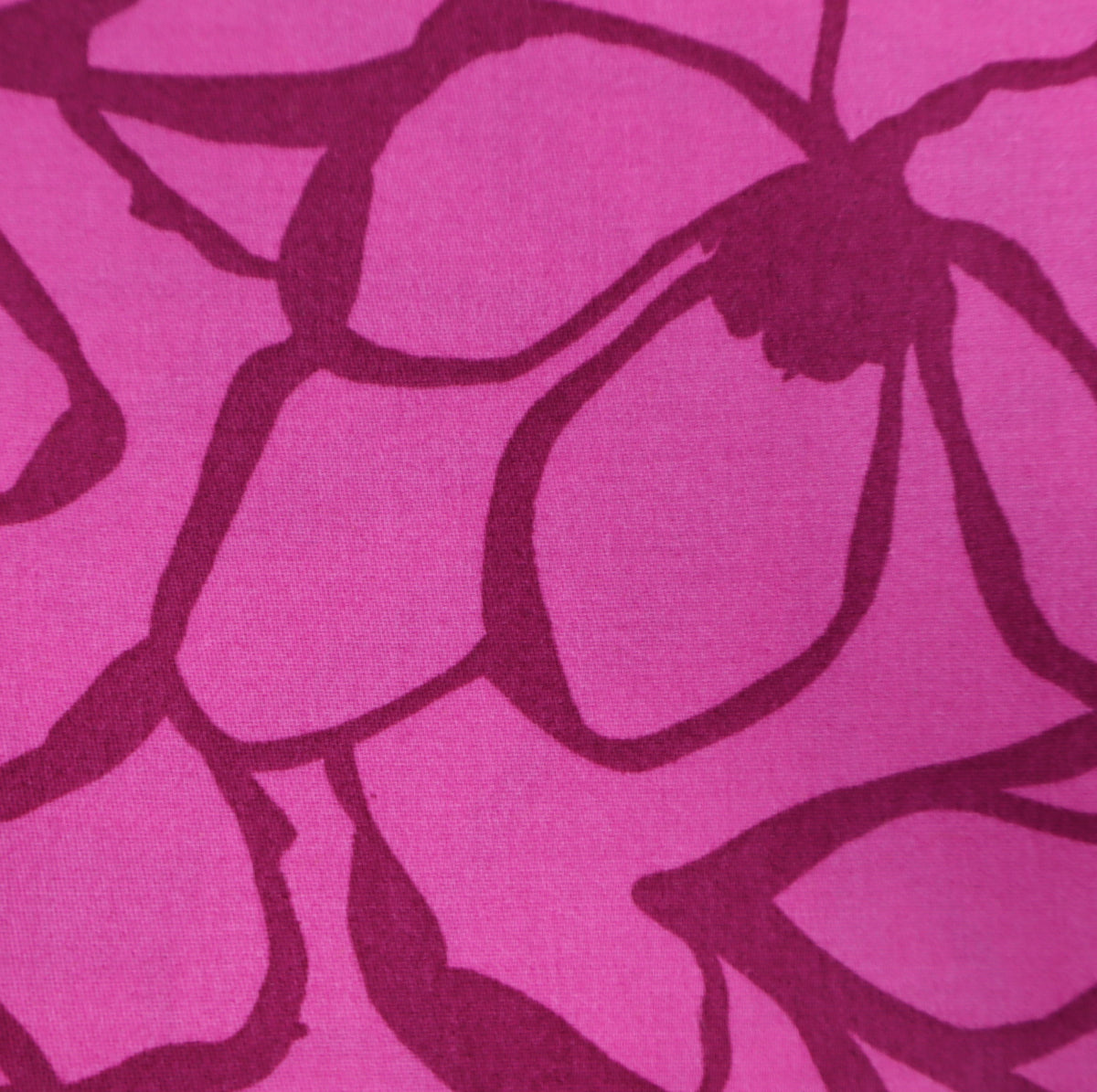Magnolia pink wine red Nerida Hansen