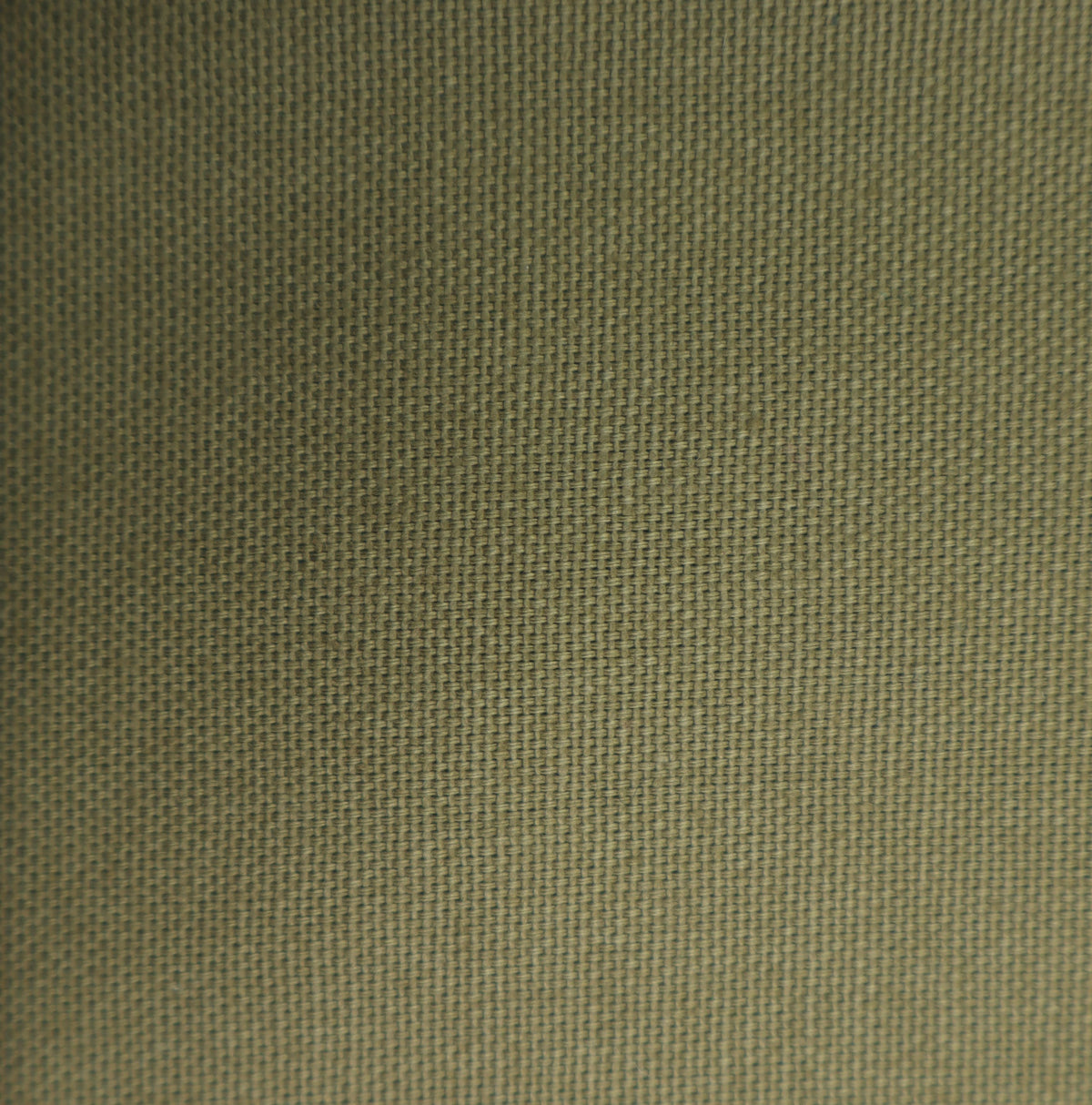 oliv Canvas