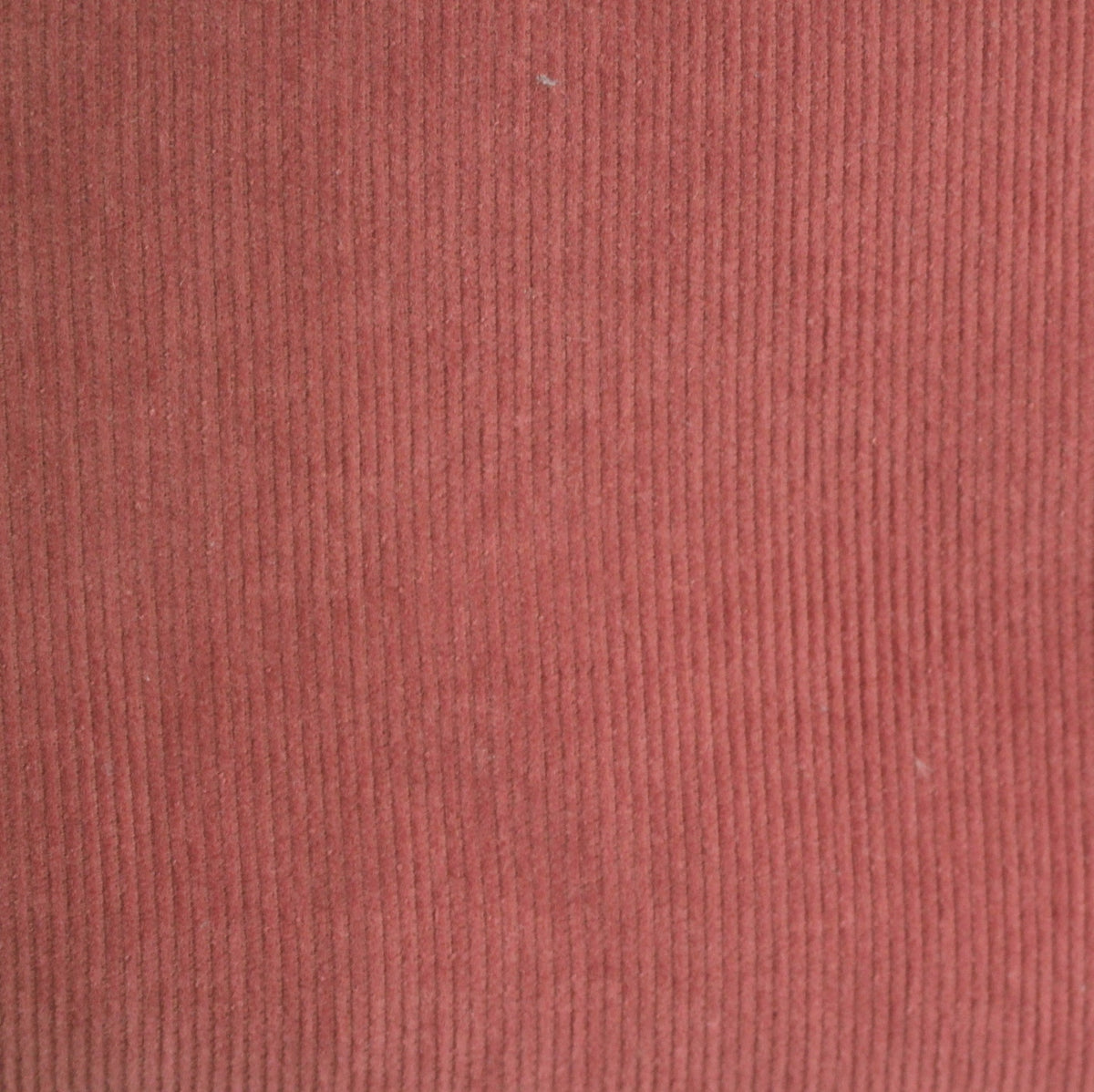 Fine cord fine marsala