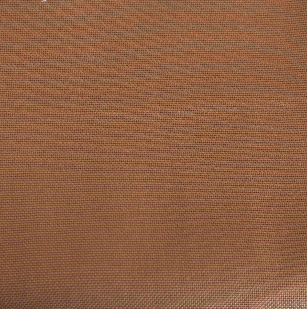 aprikosen orange Canvas