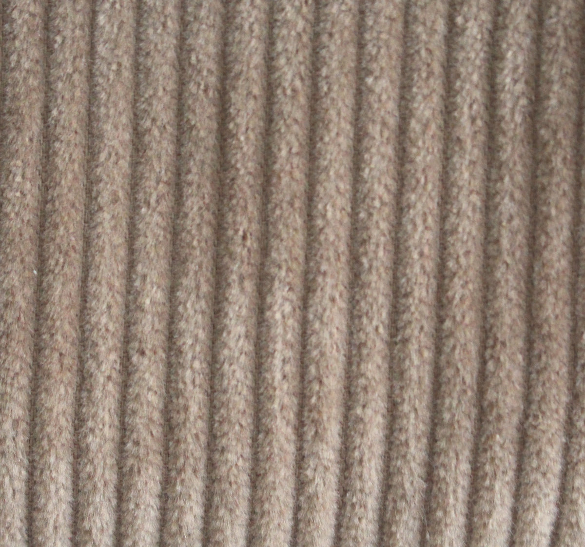 Wide cord maroon