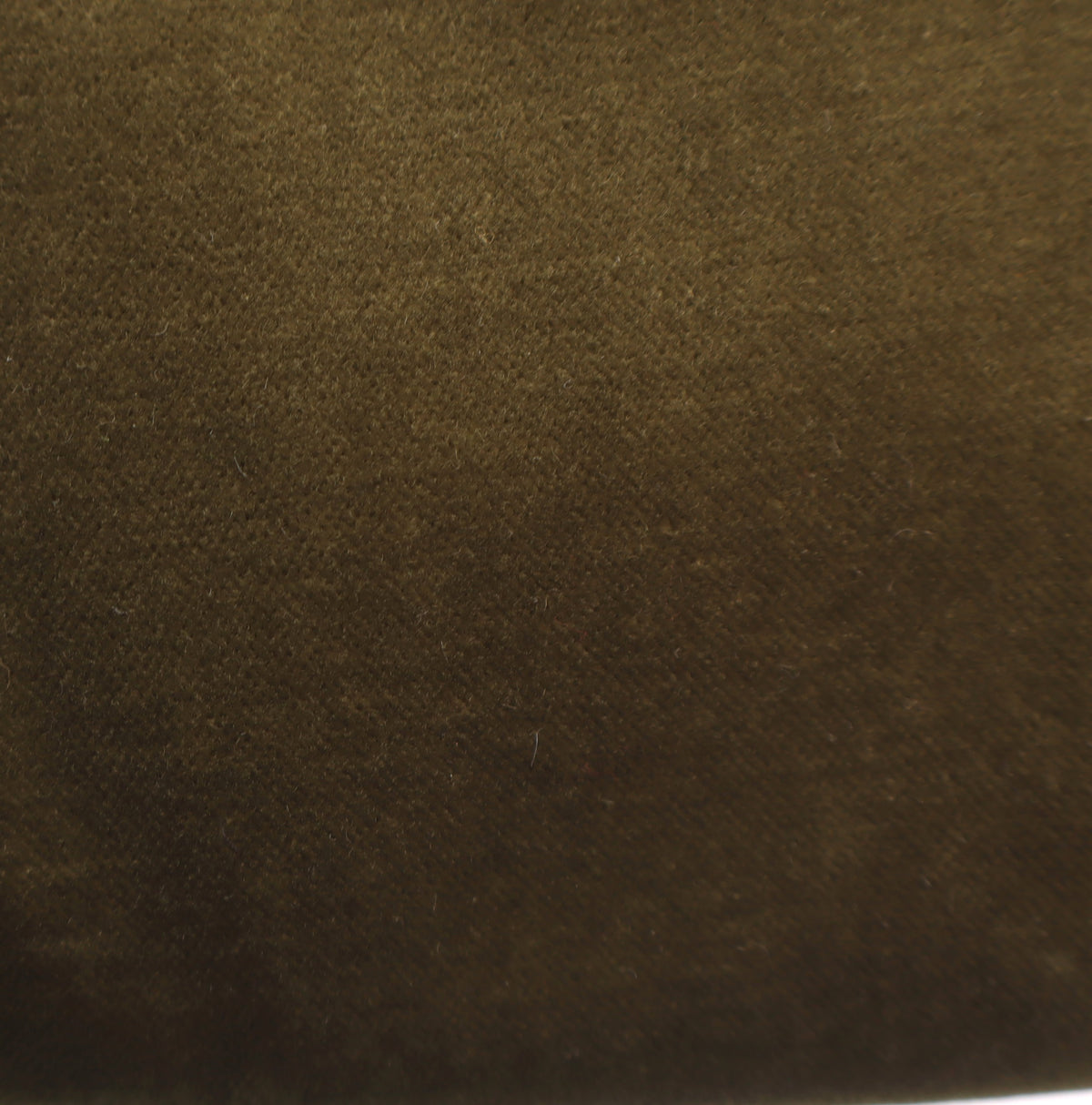 Velvet olive