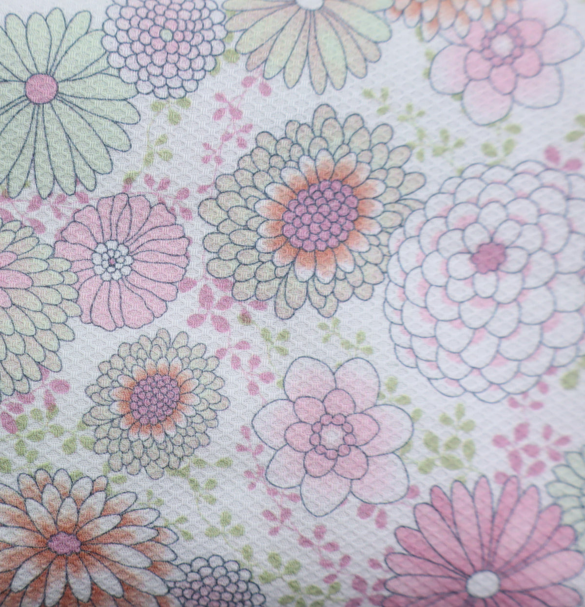 Dahlias Pique rose
