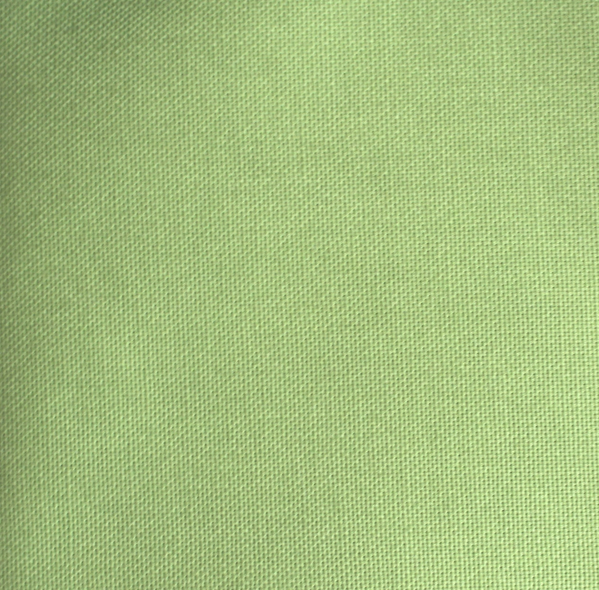 apfelgrün Canvas