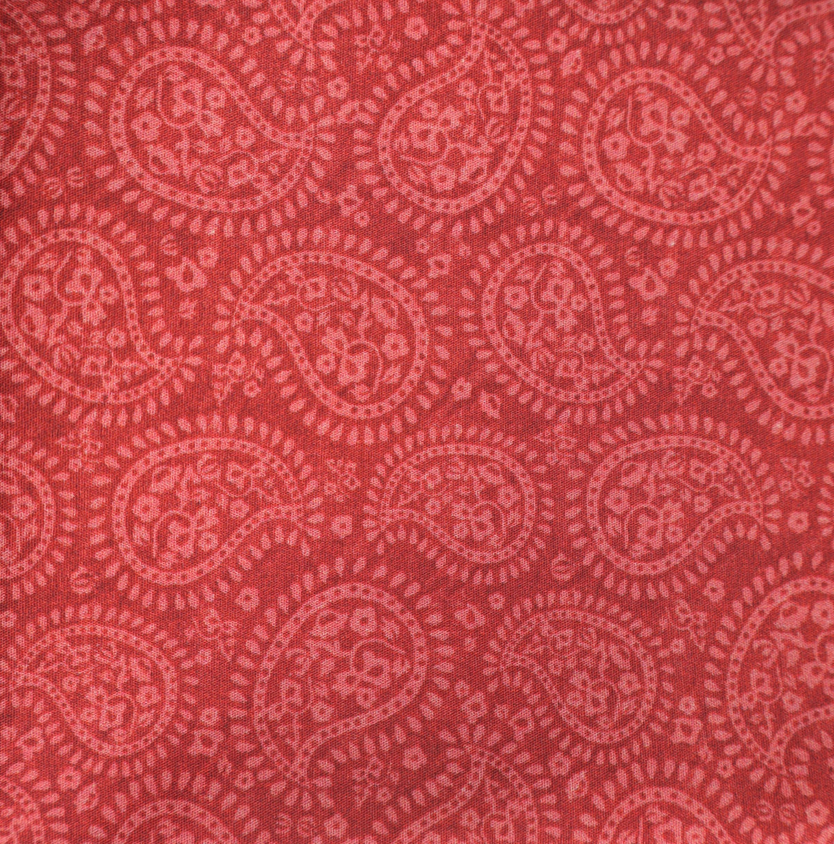 chayenne rot  Paisley