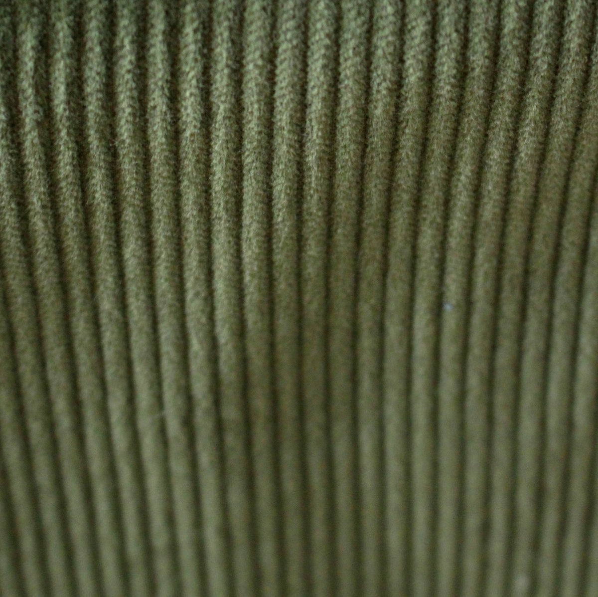 Noble cord medium width grass green