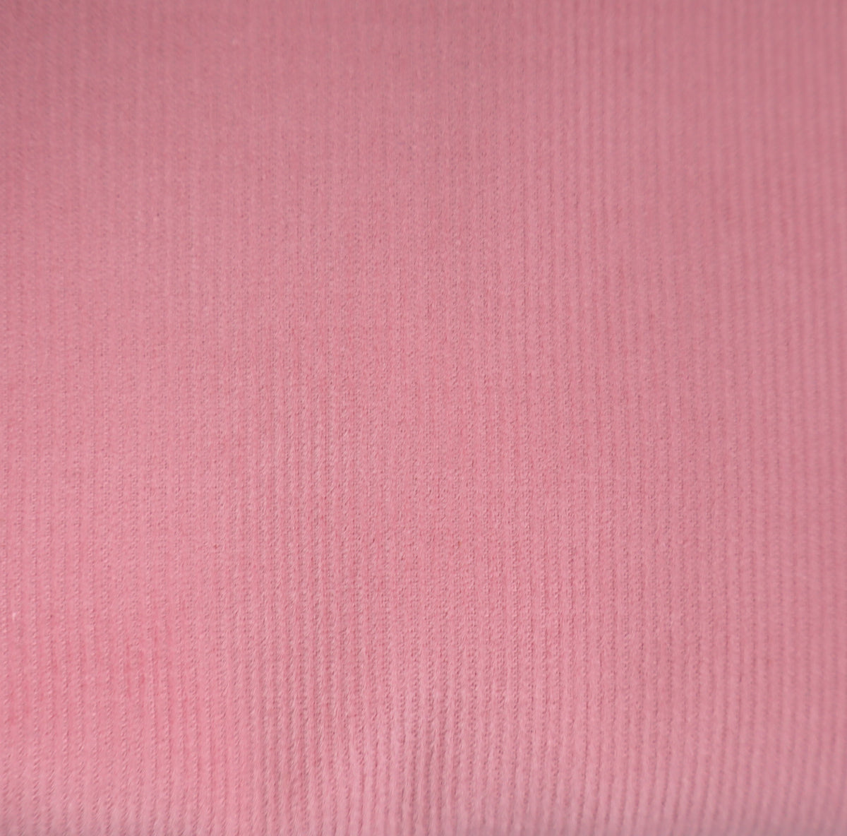 Fine corduroy peach