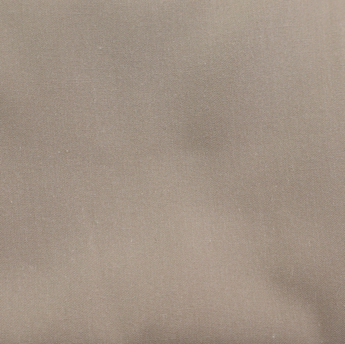 taupe uni Popeline