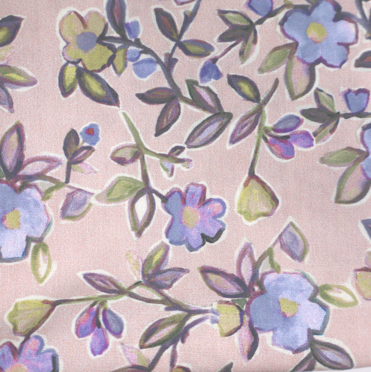 Anemone rosé
