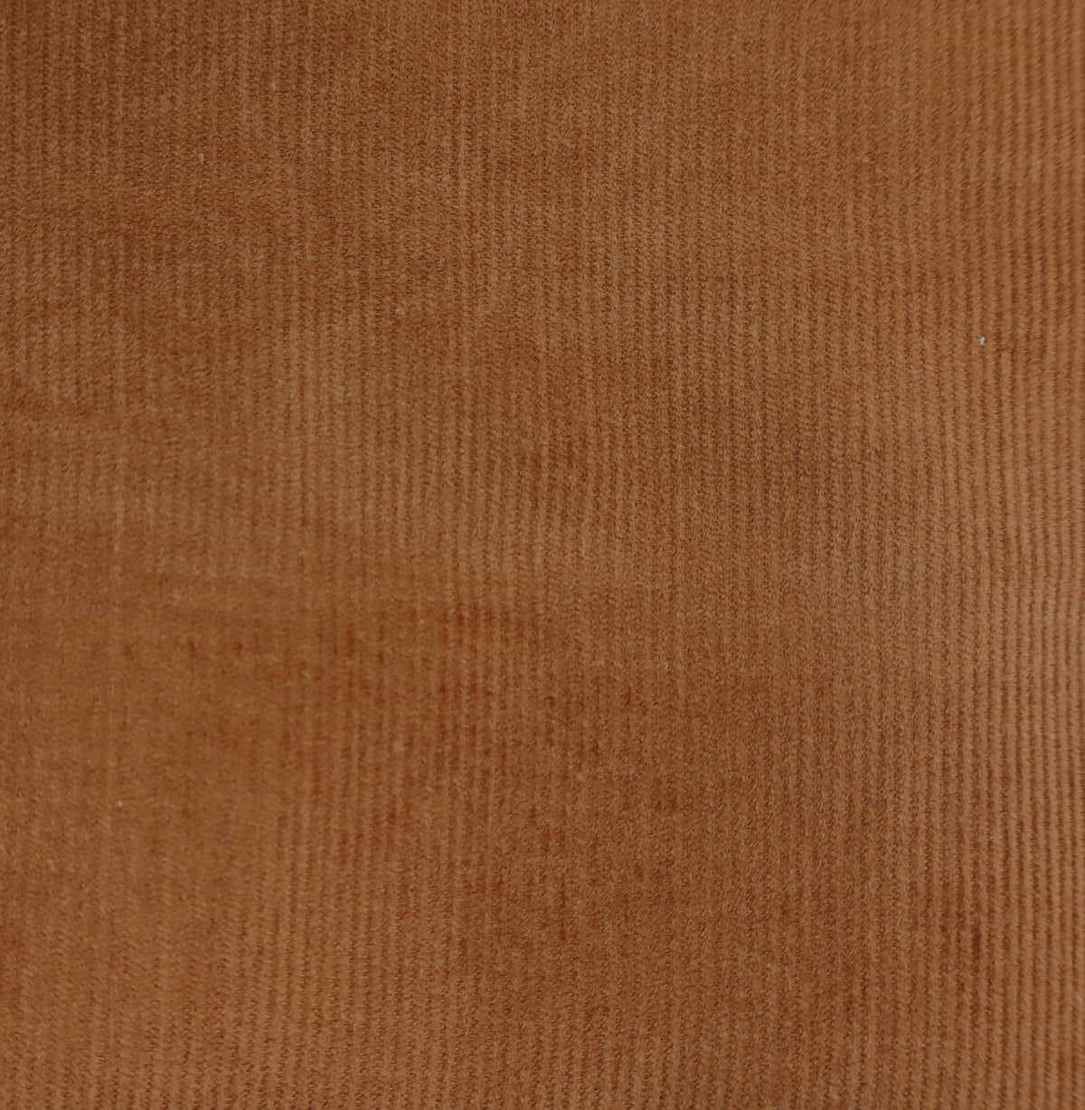 Feincord cognac
