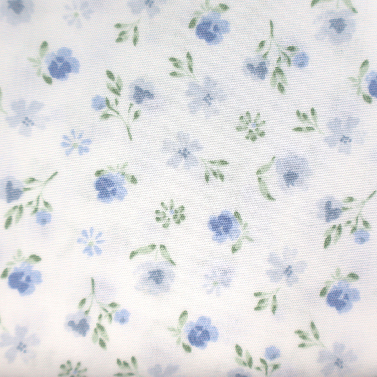 light blue cornflower