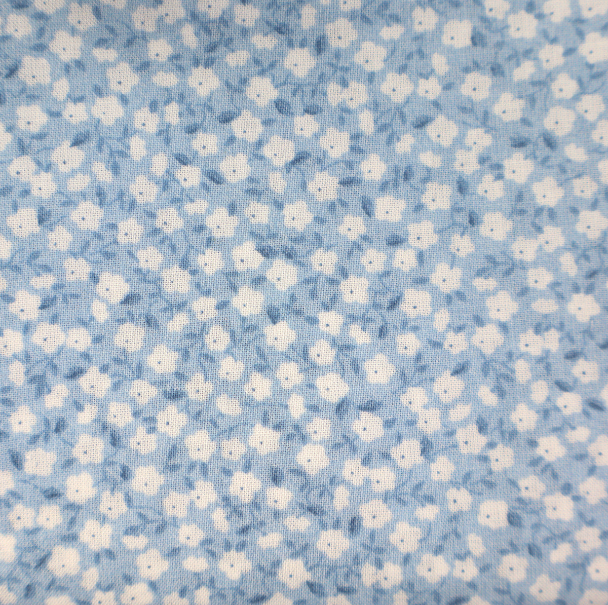 hellblaue Blumenliebe