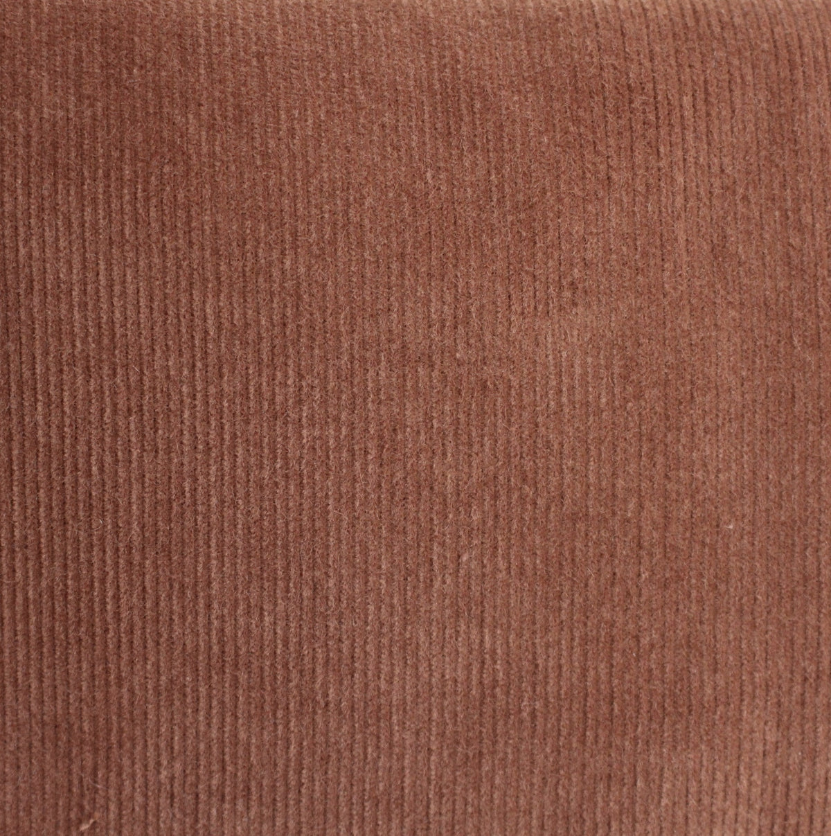 Fine cord fine umbra
