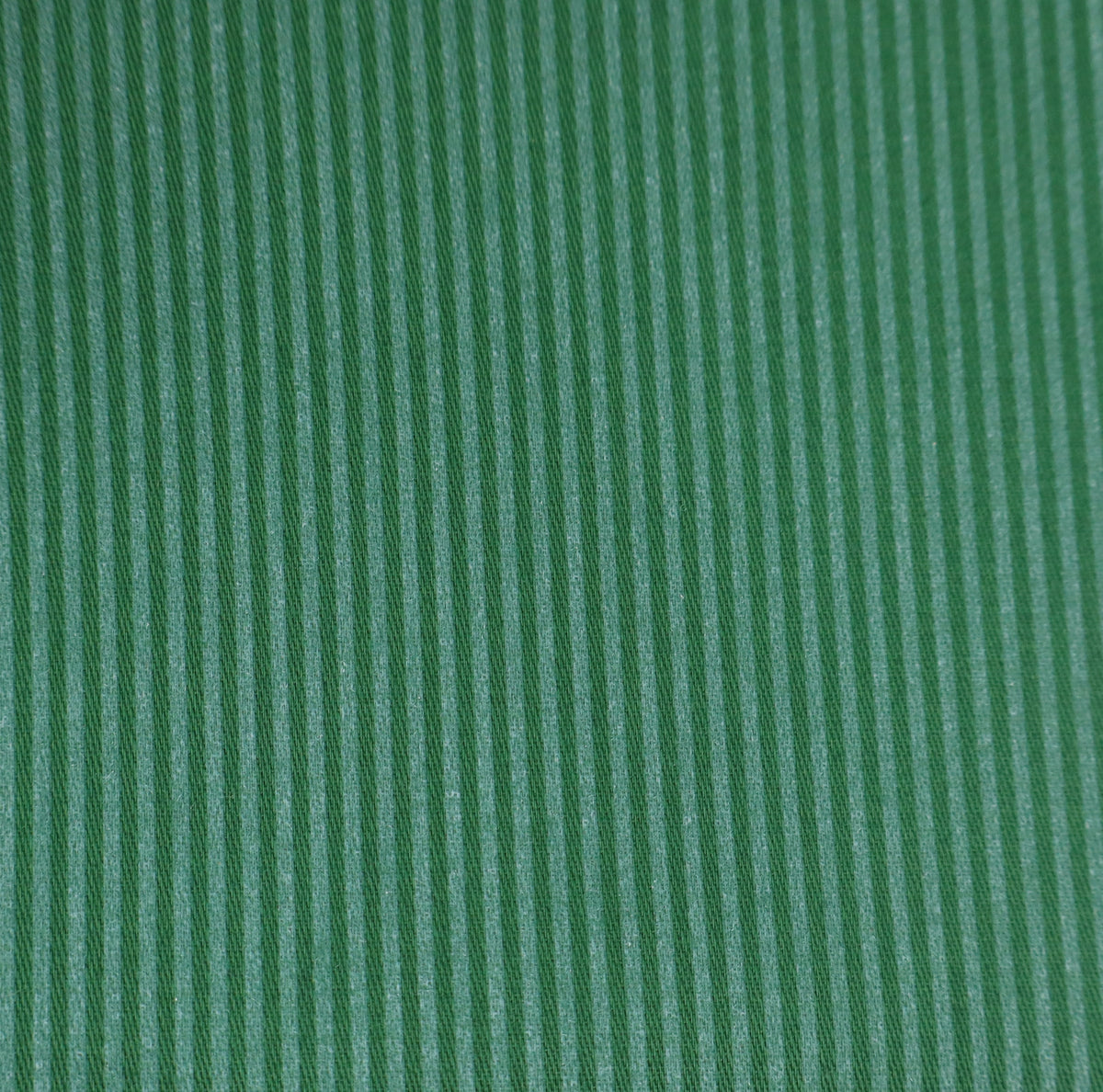 Trachtenstreif grün / grün