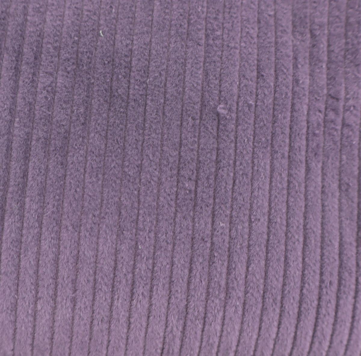 Breitcord pflaume