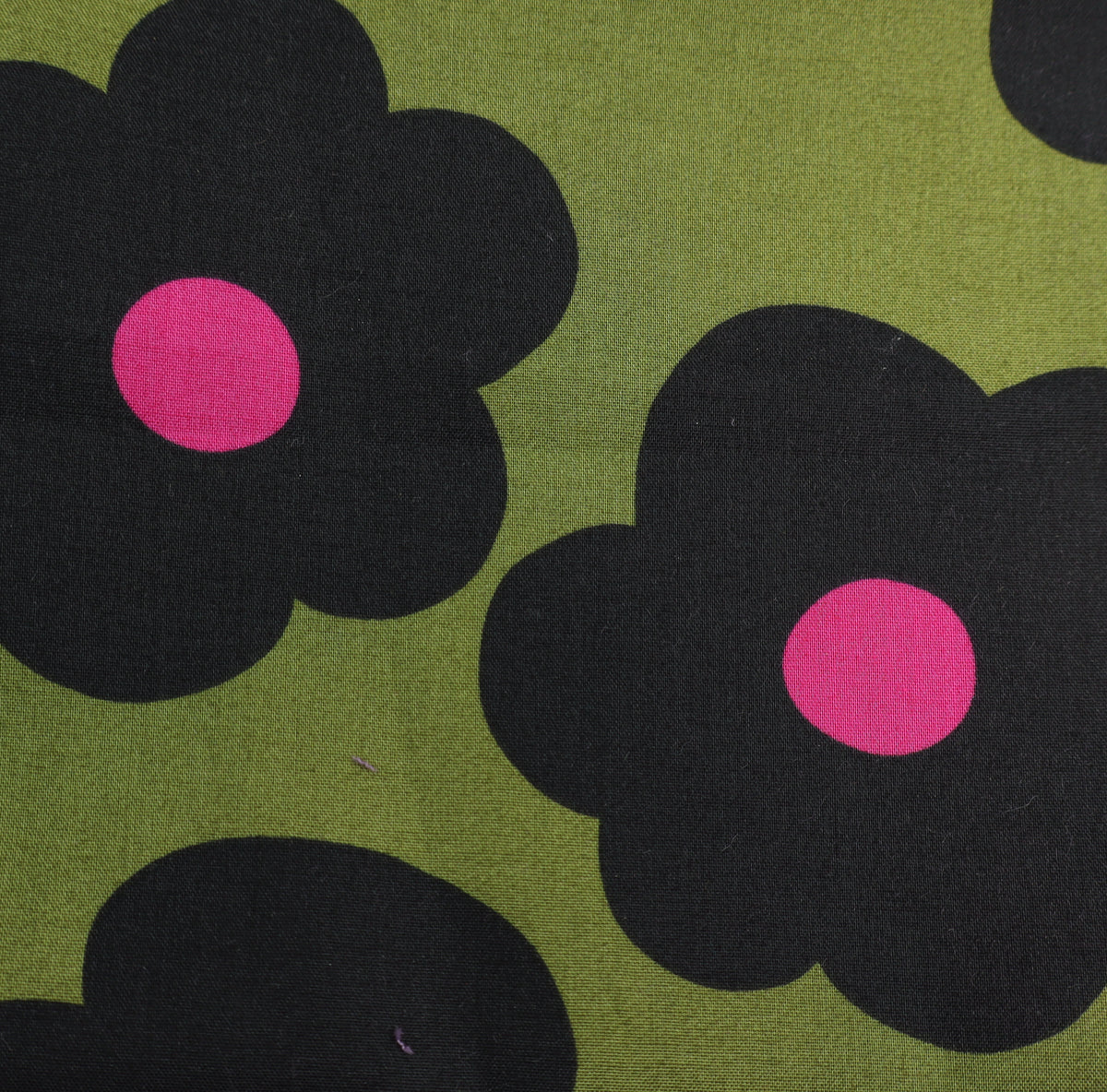 oliv BIG FLOWERS Nerida Hansen