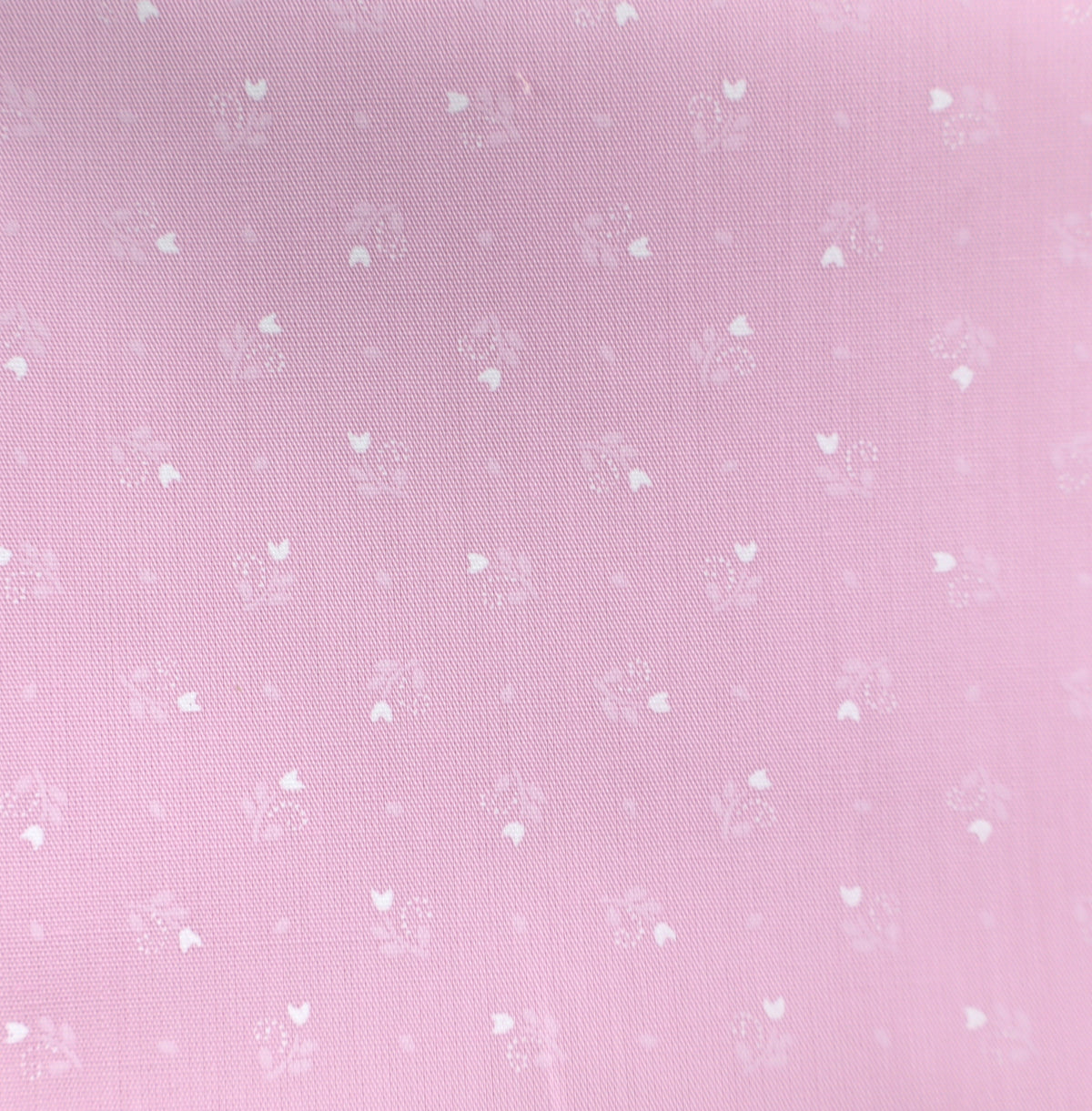 zartrosa Dirndl-Tulpen