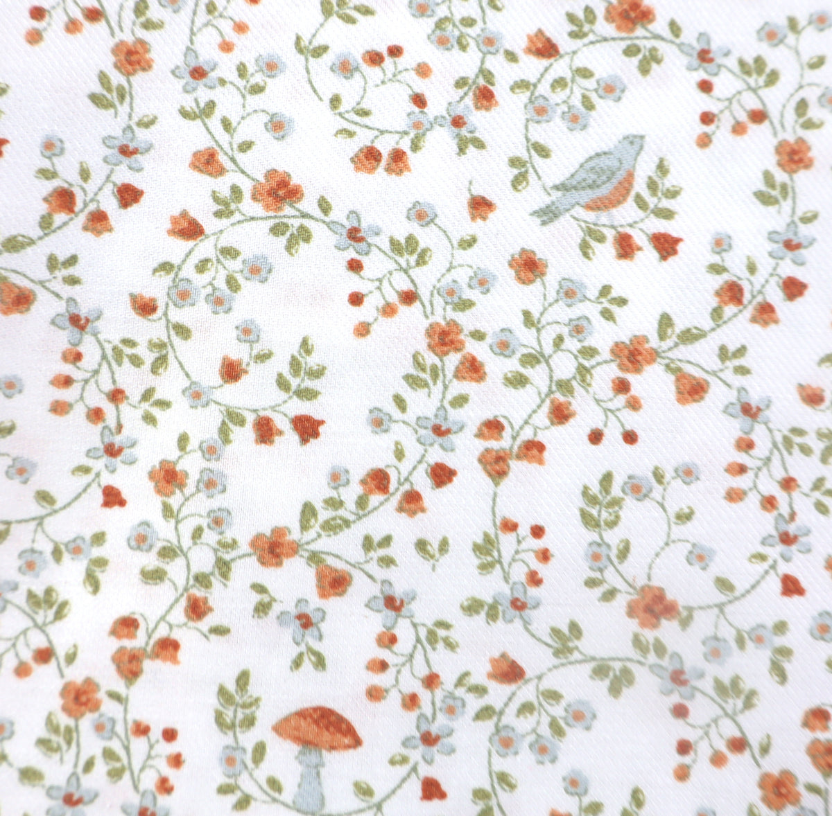 orange Schwammerl-Reigen Köper